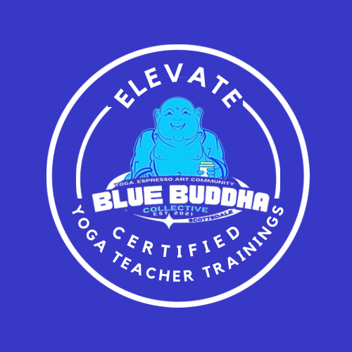 ELEVATE YOGA TEACHER TRAINING AT THE BLUE!